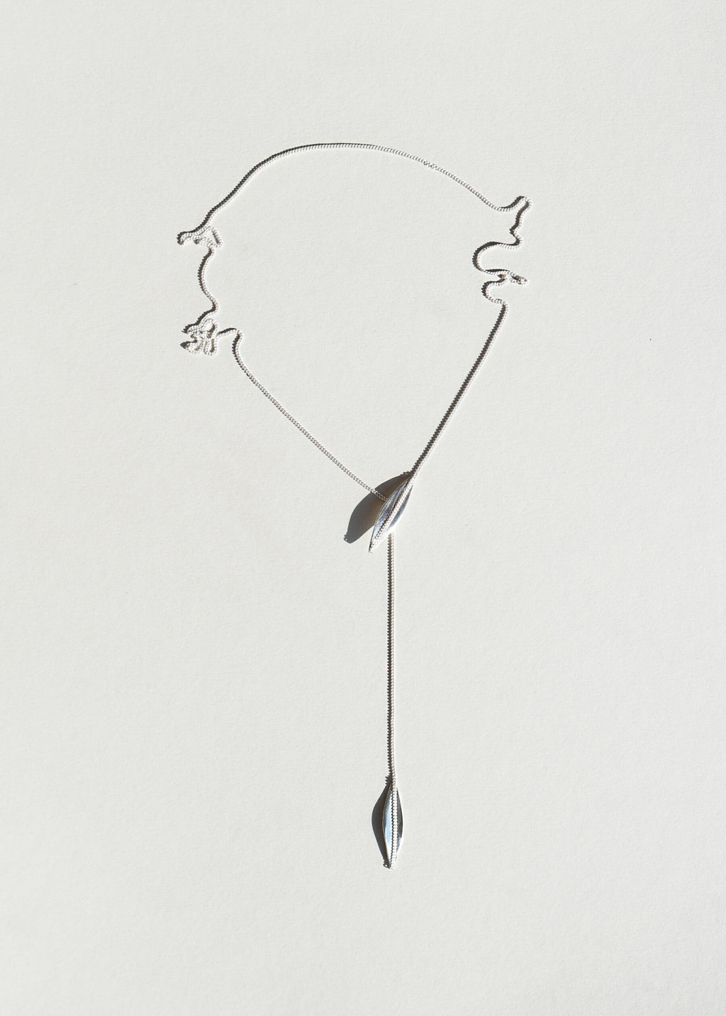 LEAVES Lasso