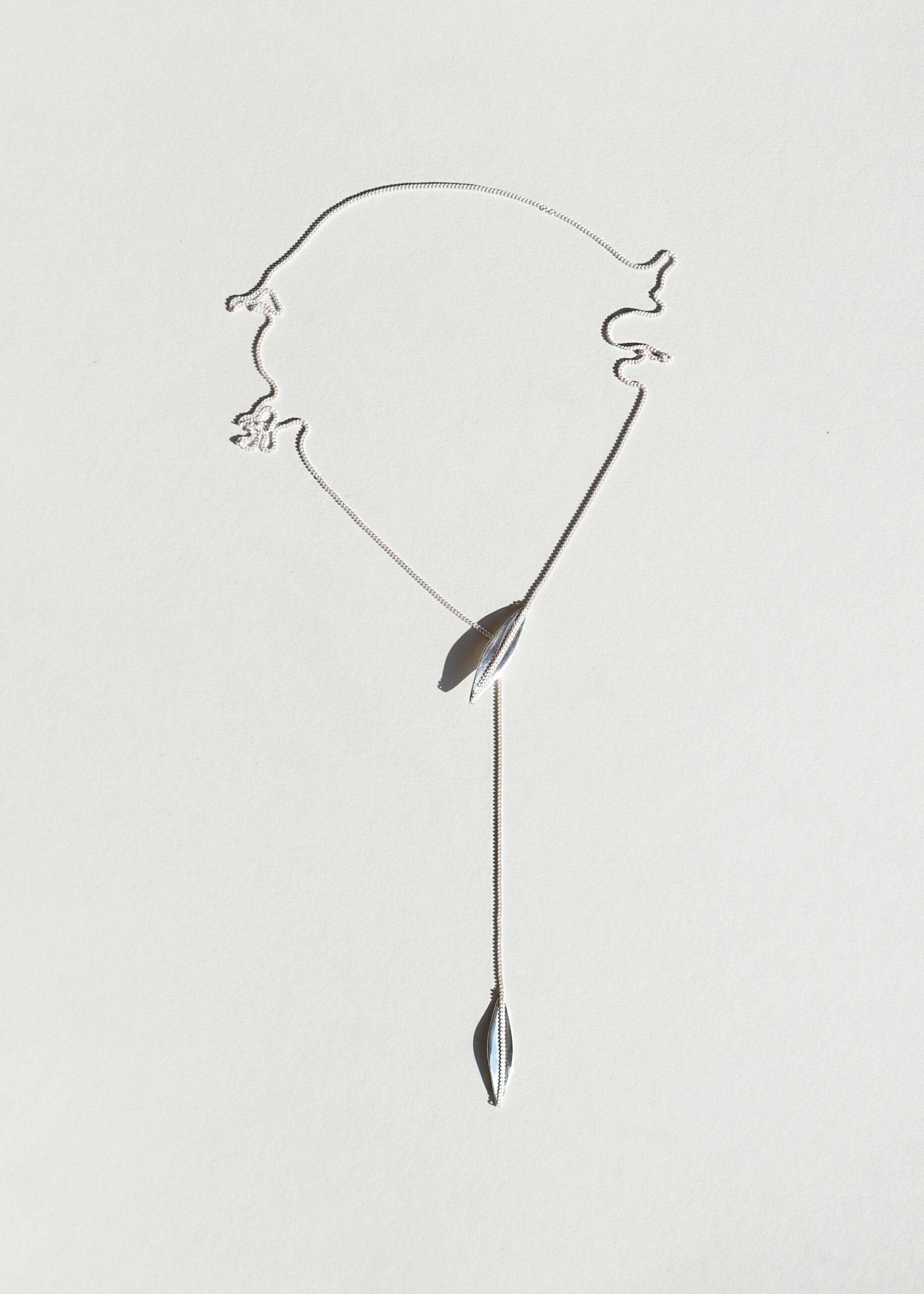 LEAVES Lasso
