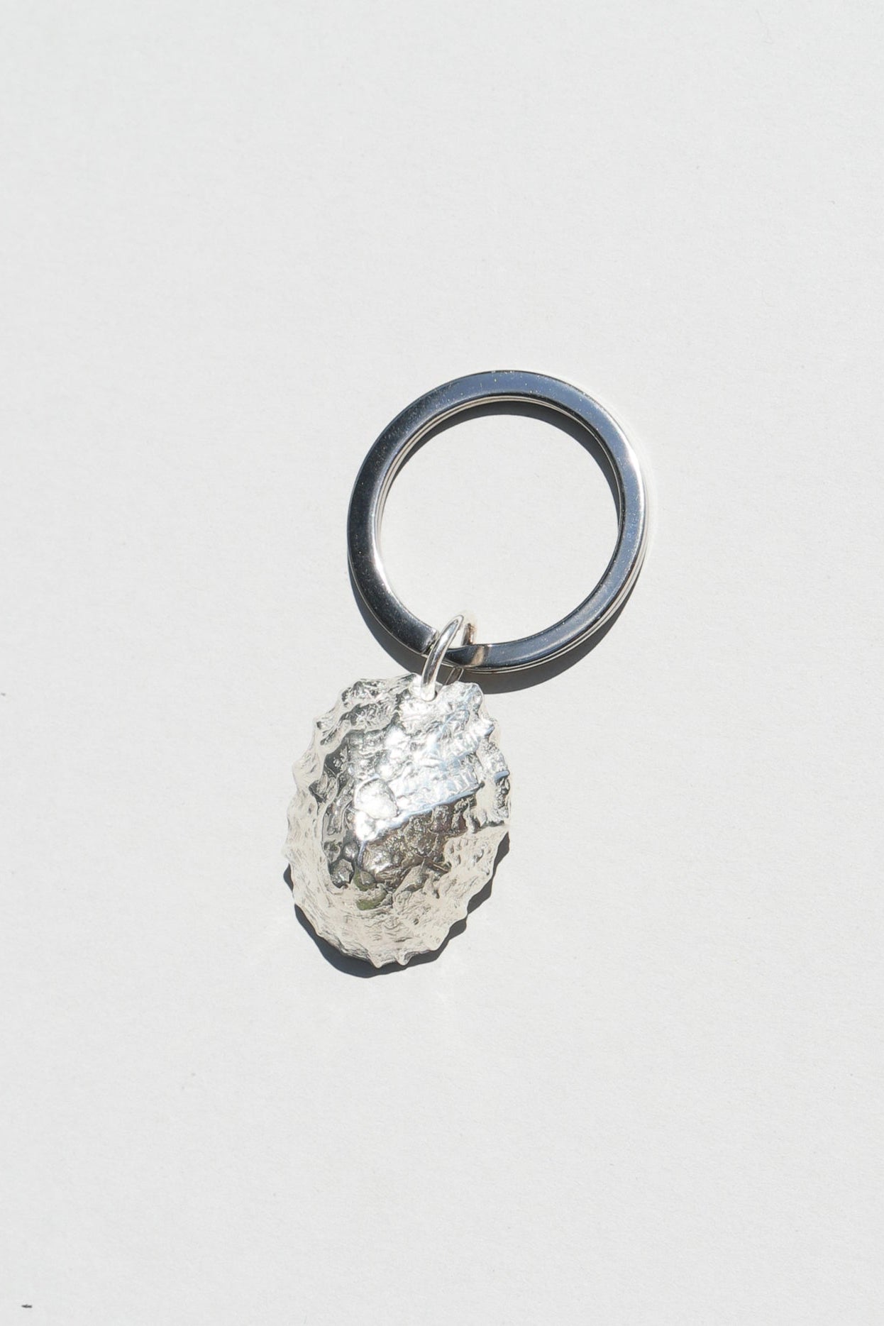 LIMPET Keyring
