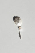 Limpet Pearl Needle